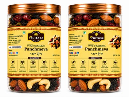 Fruitose Panchmeva Mixed Dry Fruits & Nuts 250g - Pack of 2