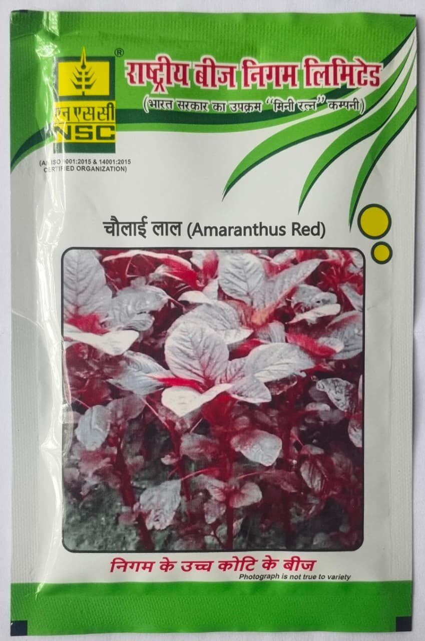Nsc Red Amaranthus (chaulai Saag) Arun Red Variety, 50 Gram T/l Seed