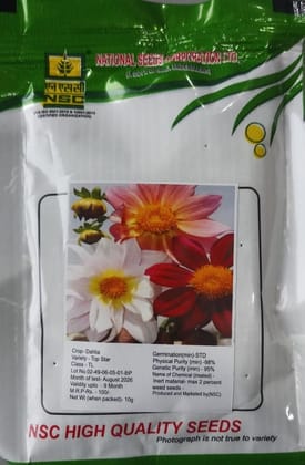 National Seeds Corporation Dahlia Top Star TL Seeds - 10g Packet National Seeds Corporation Dahlia Top Star TL Seeds - 10g Packet