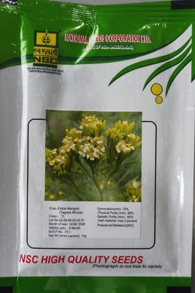 NSC Edible Marigold (Tagetes Minuta) TL Seeds, 10g