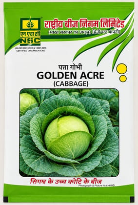 NSC CABBAGE GOBI BEEJ VARIETY - GOLDEN ACRE HIGH-QUALITY T/L SEEDS- 50 GMS POUCH