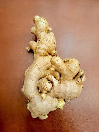 Ginger Ginger