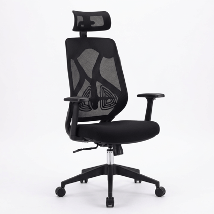 High-Back Ergonomic Mesh Office Chair with Headrest and Lumbar Support