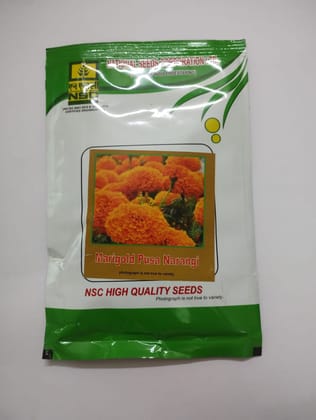 MARIGOLD PUSA NARANGI