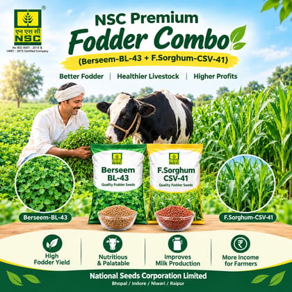 NSC Fodder Combo (Berseem-BL-43+F.Sorghum-CSV-41)