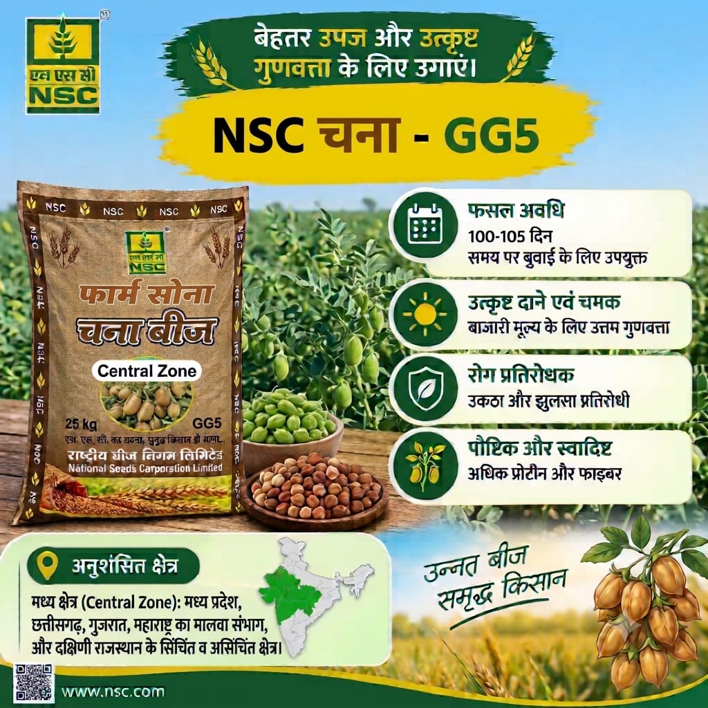  GG-5 Gram TL Seeds 25kg