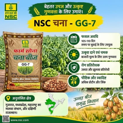 National Seeds Corporation Limited Gram GG-7 Seeds, 25 kg