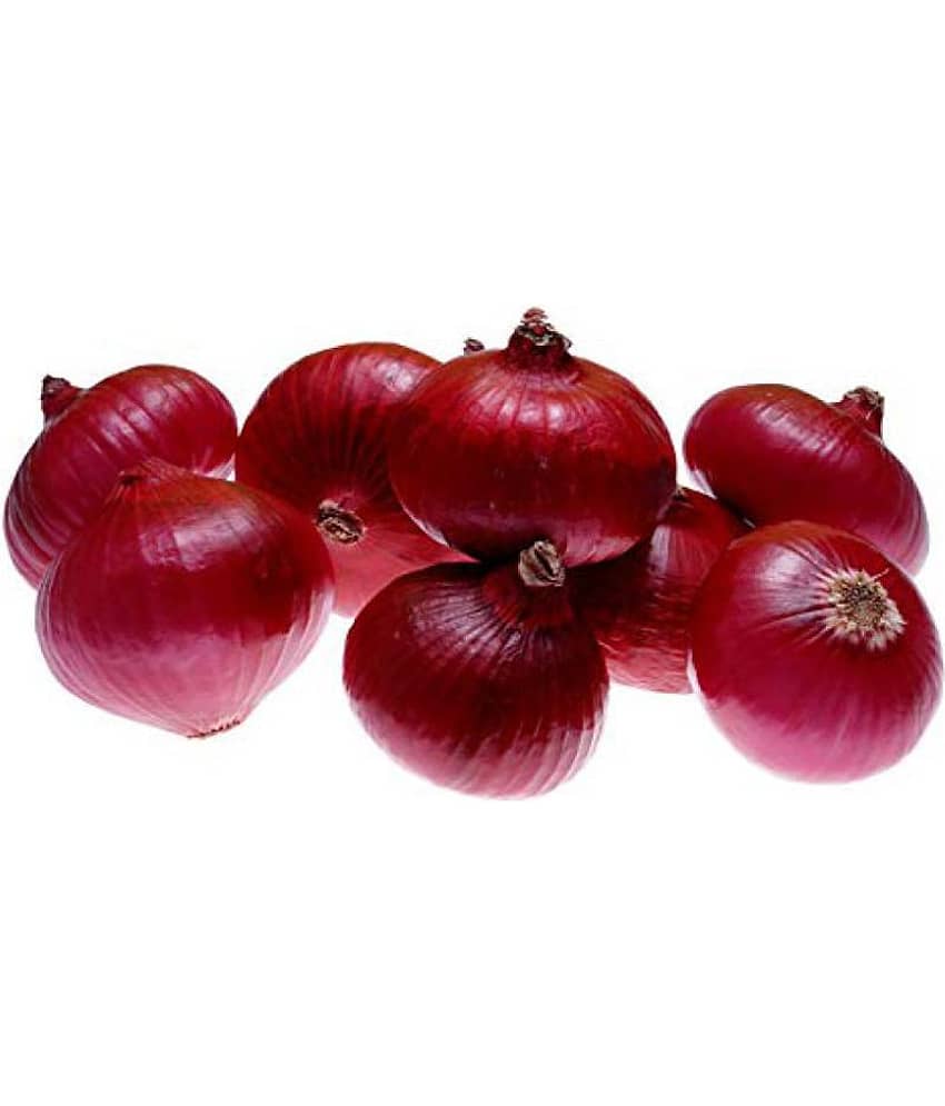 Vegetable Seeds Tilhou Seeds - Onion Black Seeds Home Garden Seeds