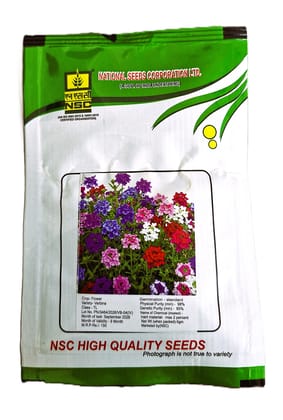 NSC Verbena Flower Seeds – 5 Gram Pack