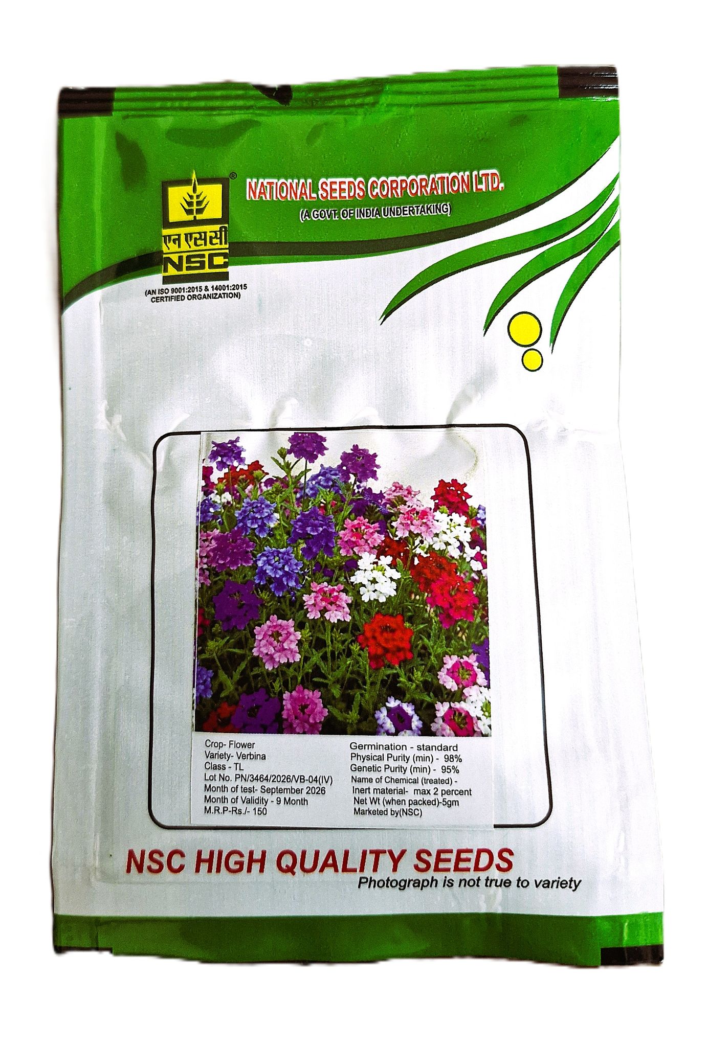 NSC Verbena Flower Seeds – 5 Gram Pack