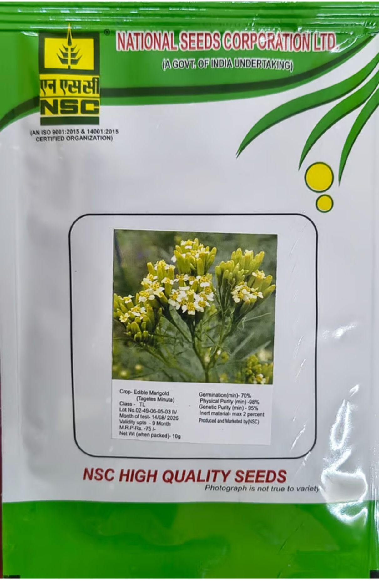 Nsc Edible Marigold Tagetes Minuta Seed,10 Gm