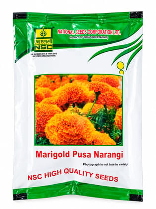 NSC Marigold Pusa Narangi TL Seeds – 10 GM Pack