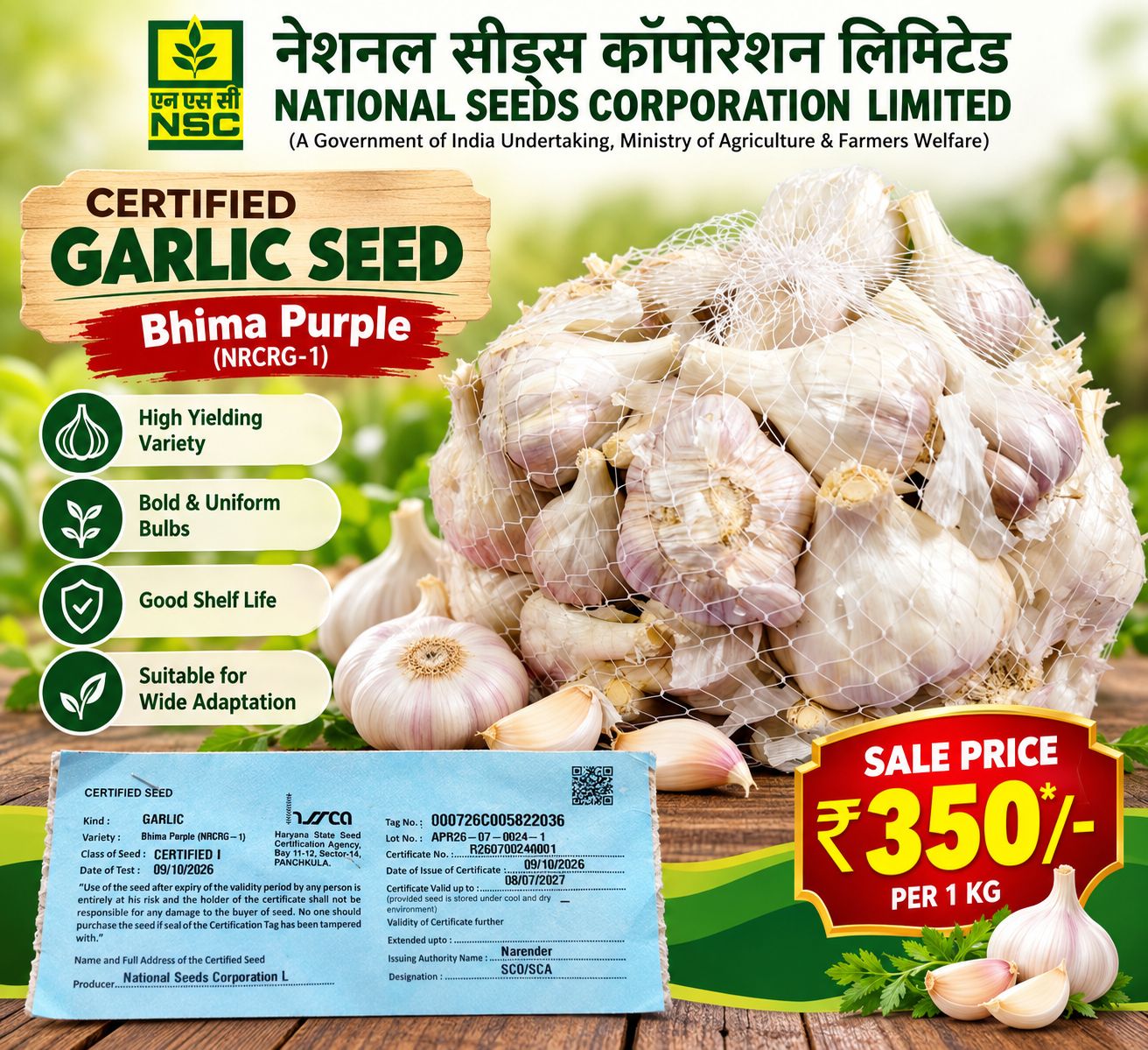 NSC Garlic - Bhima Purple Certified Seed 1 Kg