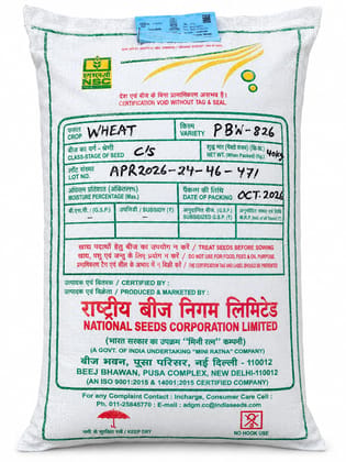 NSC Wheat PBW-826 Certified Seeds (C/S) – 40 KG Pack