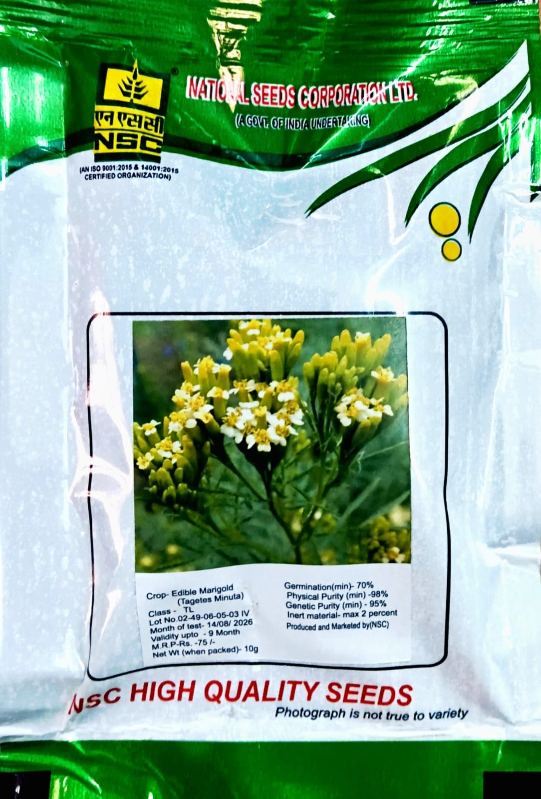 Edible Marigold (Tagetes Minuta) Seeds-10 grams 