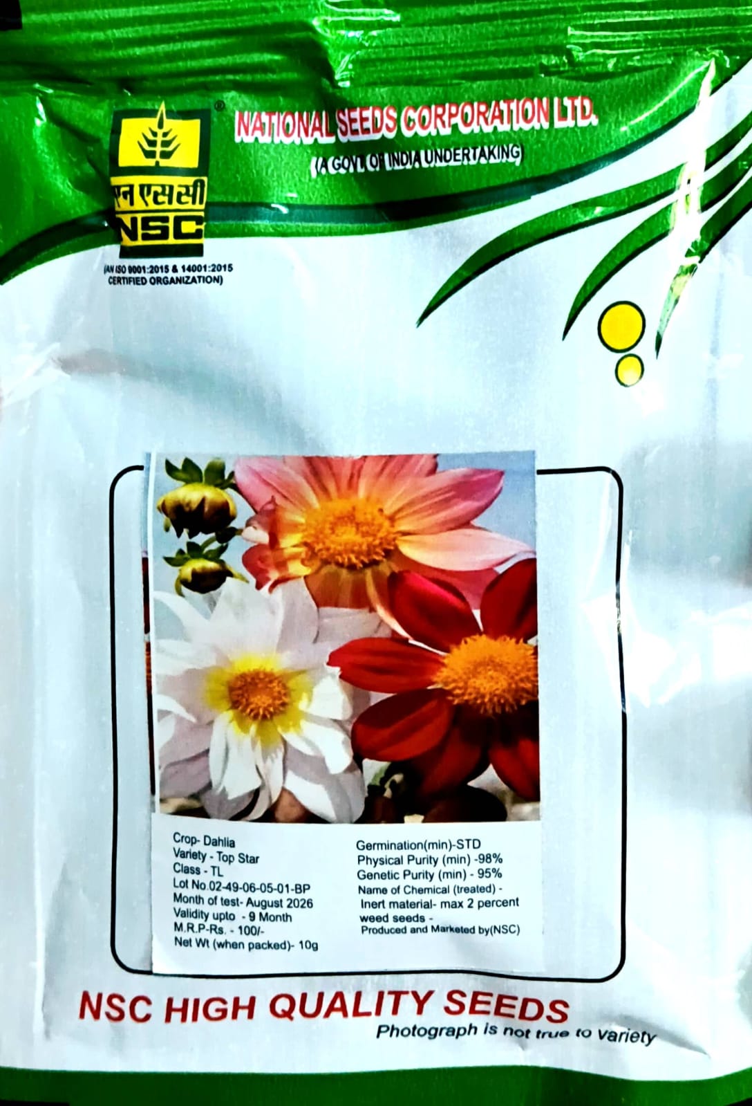 DAHILA SEEDS (Variety:-TOP STAR)