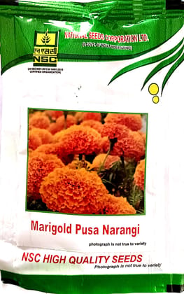 NSC Marigold Pusa Narangi Flower Seed (10 Gm Seed)