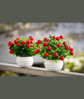 zonezer - Multicolor Cherry Blossom Artificial Flower ( Pack of 2 )