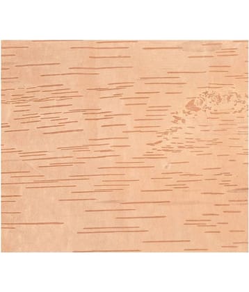 VINARGHYA Betula Utilis / Bhojpatra / Bhujapatram / Bhujaatri / Bhuyapatra 5 no.s