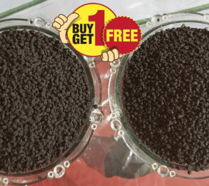 BUY 100 GRAMS GOOD QUALITY CTC &GET SAME CTC 100 GRAMS FREE WITH FREE SHIPNG