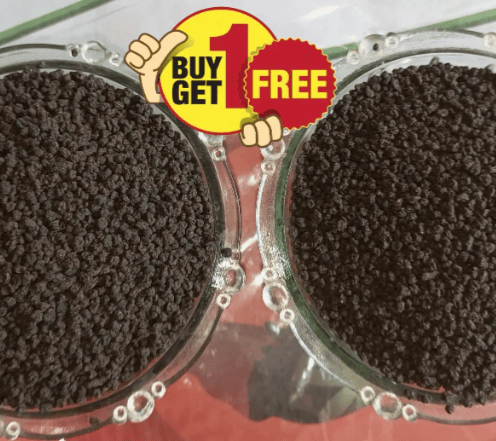 BUY 100 GRAMS GOOD QUALITY CTC &GET SAME CTC 100 GRAMS FREE WITH FREE SHIPNG