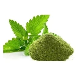 Dehydrated Mint Powder  Pudina Powder