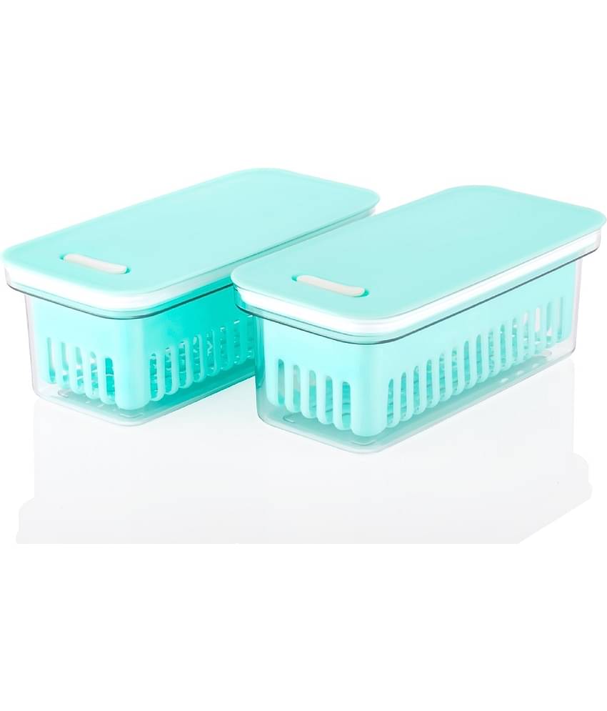 Analog Kitchenware Veg./Fruit/Meat Plastic Multicolor Food Container ( Set of 2 )