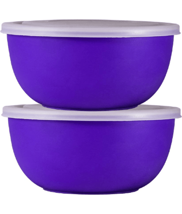BOWLMAN Microwave Safe Bowl Steel Purple Food Container ( Set of 2 )