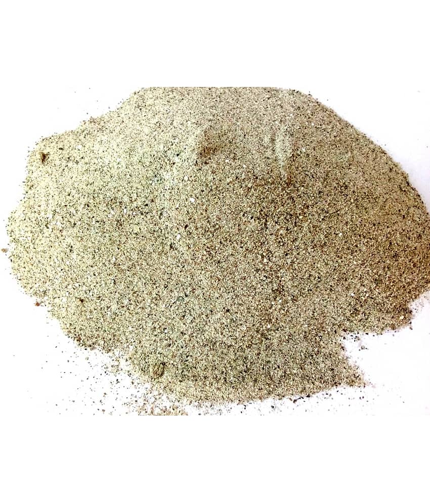 Green plant indoor - Natural Decorative