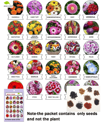 40 type of summer and winter flower seeds 2000 seeds combo
