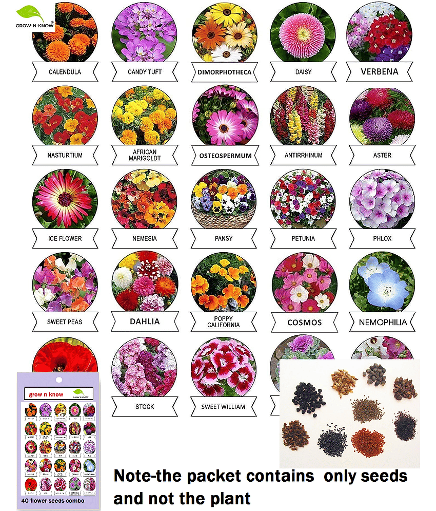 40 type of summer and winter flower seeds 2000 seeds combo
