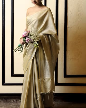 Sheen gold tissue Banarasi saree Sheen gold tissue Banarasi saree