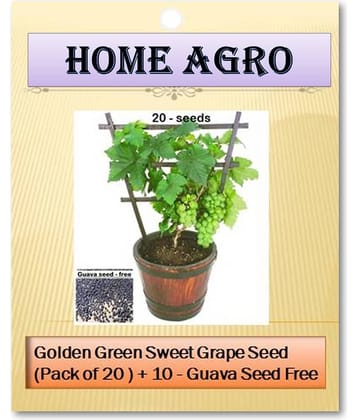 HN organic seed - Fruit Seeds ( 20 )