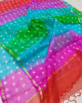 Dye & Drape Pure Silk Kota Timeless Multicolor Dupatta