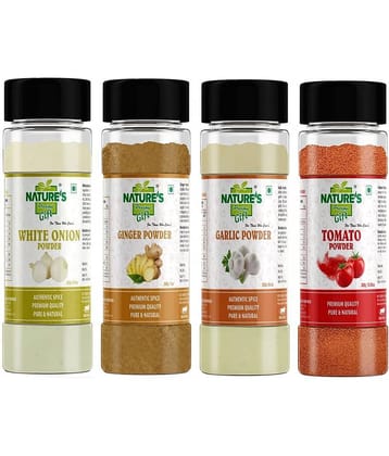 Natures Gift Onion Powder 250gm, Ginger Powder 200 gm, Garlic Powder 250 gm & Tomato Powder 300 gm - Ready To Cook Powder 1 kg