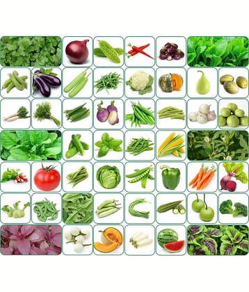Aero Seeds 50 variety vegetable seeds combo pack with instruction manual.
