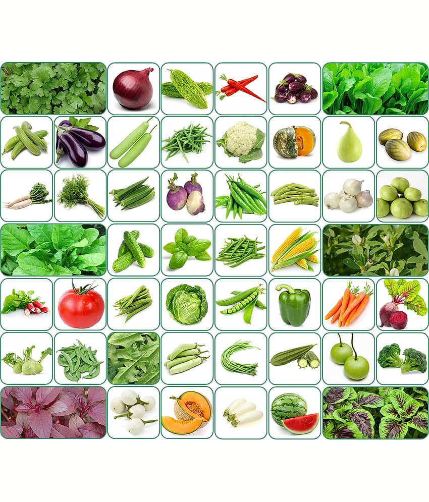 Aero Seeds 50 variety vegetable seeds combo pack with instruction manual.