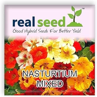 Nasturtium Mixed Flower Seeds