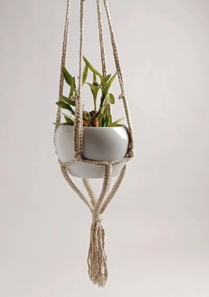 Indoor Macramé White Pot (Hanging)