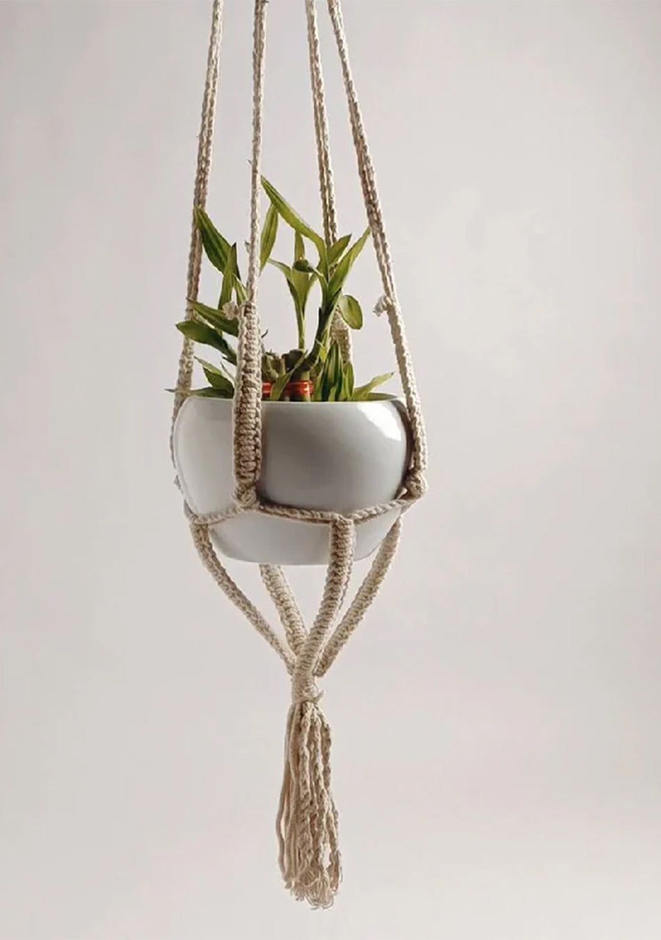 Indoor Macramé White Pot (Hanging)