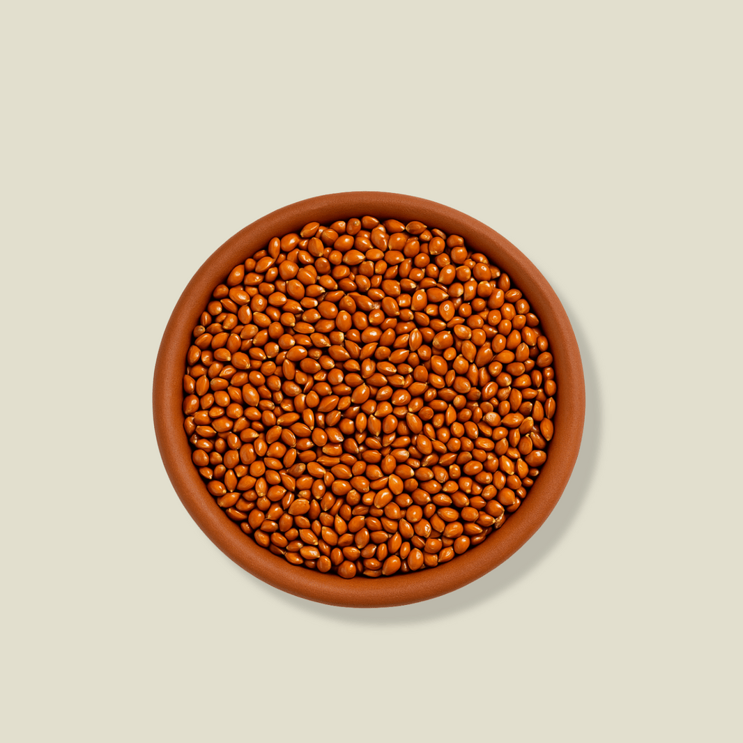 Proso Millet (Chena/Barri)