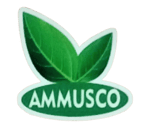 Ammus & co