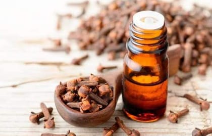 Clove Hydrosol Extract (100gms)