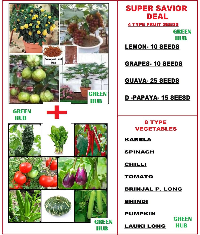SUPER SAVIOR DEAL 4 TYPE FRUIT SEEDS COMBO WITH 8 TYPE VEGETABLE SEEDS COMBO PACK FOR HOME GARDENING PURPOSE COCO PEAT FREE FOR FRUIT SEEDS WITH USER MANUAL