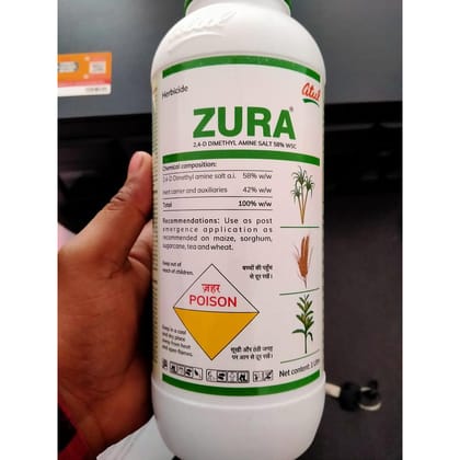 ZURA (ATUL)