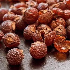 ORGANICA REETHA/SOAP NUT RAW 200 GM