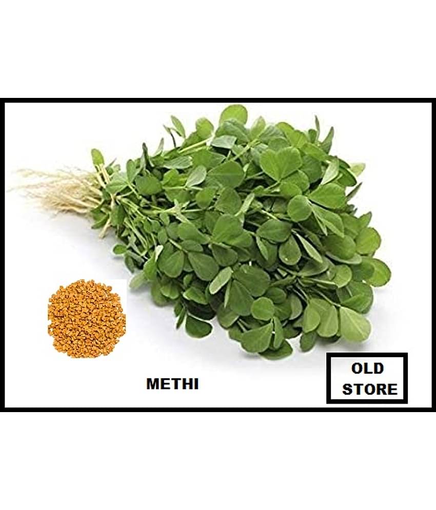 Fenugreek Methi saag 100 seeds pack with user manual