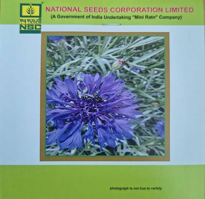 NSC CornFlower Mix Seed - 1 gm NSC CornFlower Mix Seed - 1 gm