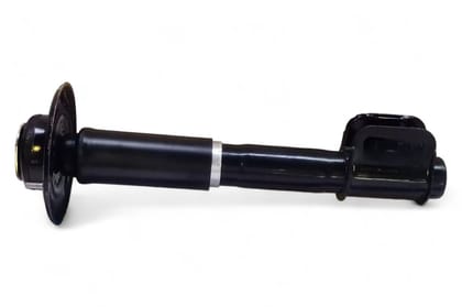 Gabriel Front Suspension Strut Assy - LH AM-W01694