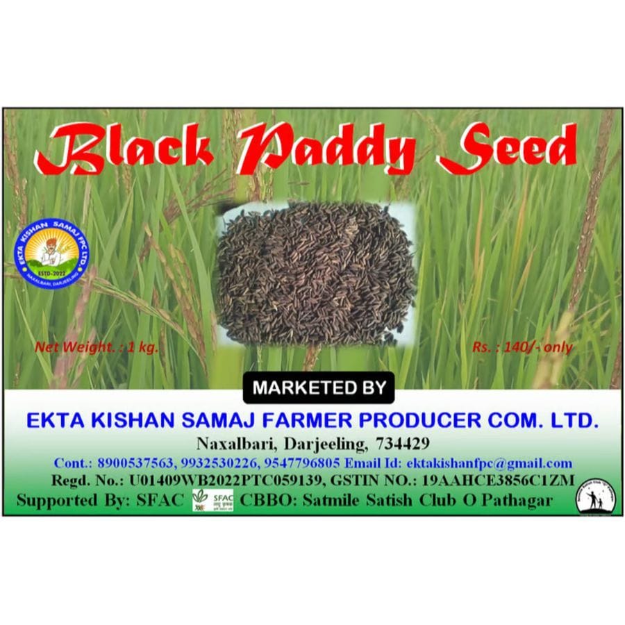 Black Rice Seed - 1 kg